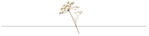logo light